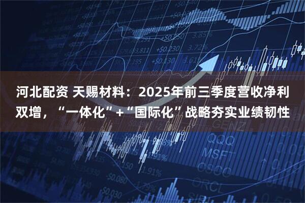 河北配资 天赐材料:2025年前三季度营收净利双增,“一体化”+“国际化”战略夯实业绩韧性